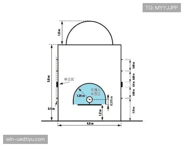 解析合理冲撞规则的具体定义与适用条件